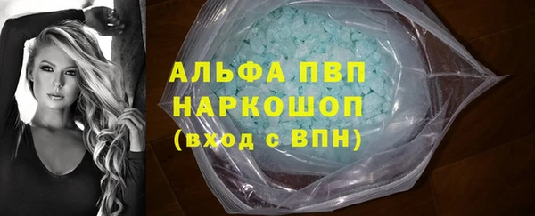 стаф Арсеньев