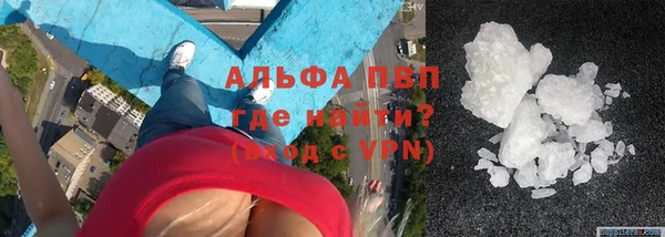 стаф Арсеньев
