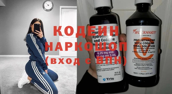 МДПВ Снежинск